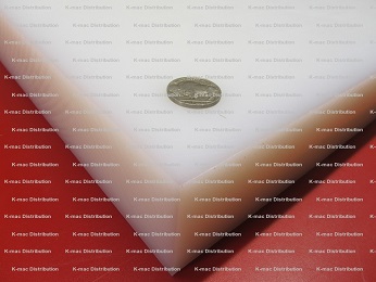 UHMW white sheet 1.50 inch thick