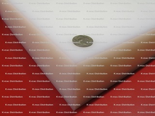 UHMW white sheet 2.75 inch thick