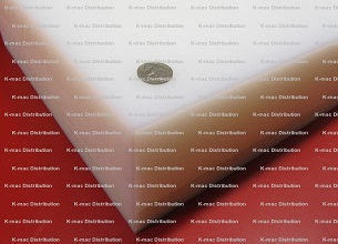 UHMW white sheet 4.0 inch thick